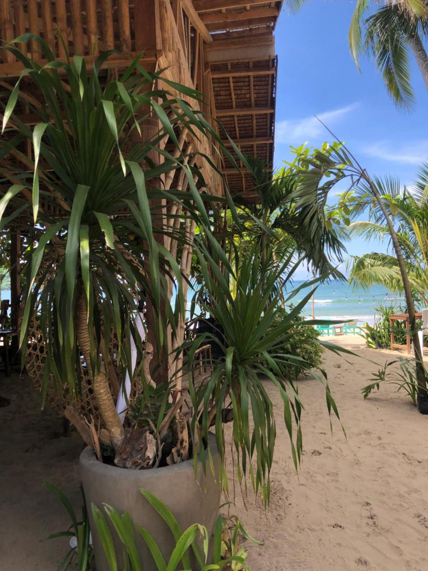 Zhaya'S Beach & Cottages El Nido Eksteriør bilde